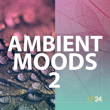 LP24 - Ambient Moods 2