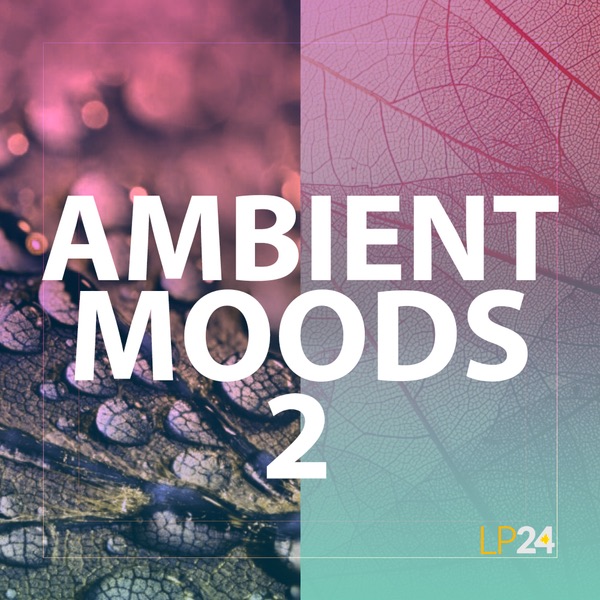 LP24 Audio - Ambient Moods 2