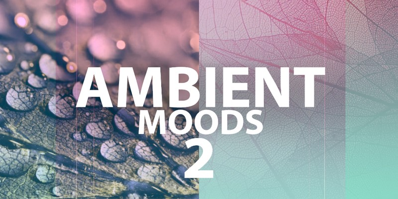 LP24 Audio - Ambient Moods 2