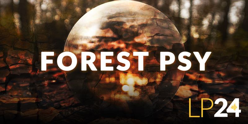 LP24 Audio - Forest Psy