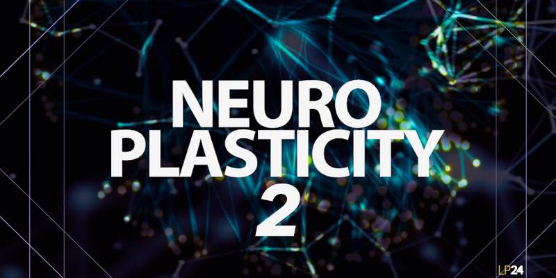 LP24 Audio - Neuro Plasticity 2