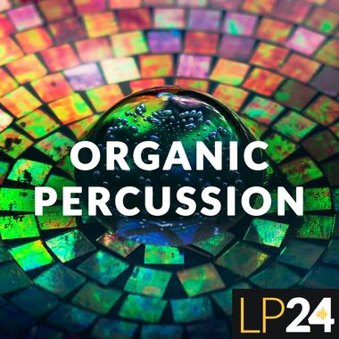 LP24 Audio - Organic Percussion